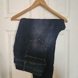 1882 Dark Indigo Women's Skinny Jeans, PLUS SIZE 20W